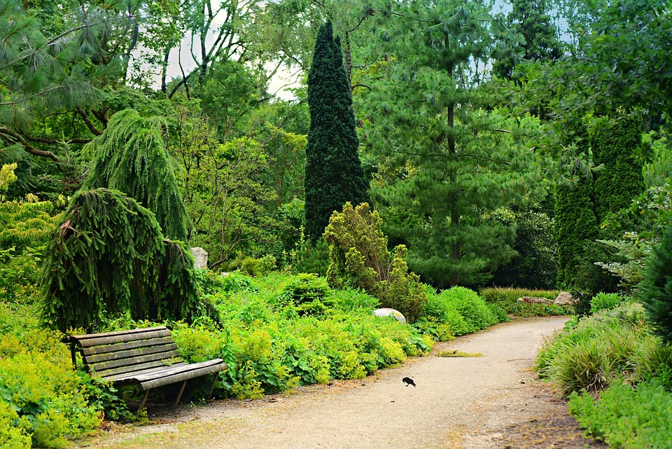 L’Importanza di uno Stile di Vita Sano per la Longevità delle Ossa