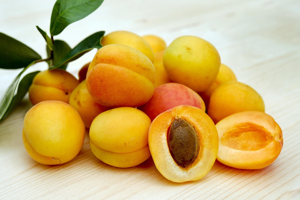 Come Creare Menu Bilanciati: Guida per Ristoratori e Chef