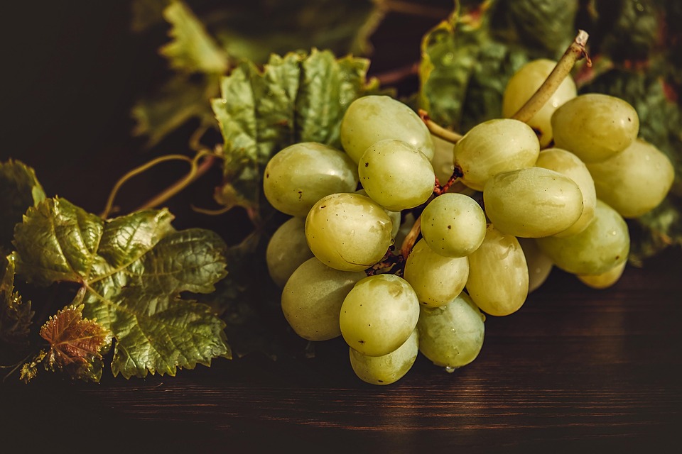 Alimenti Funzionali: La Nuova Frontiera della Nutrizione nei Ristoranti
