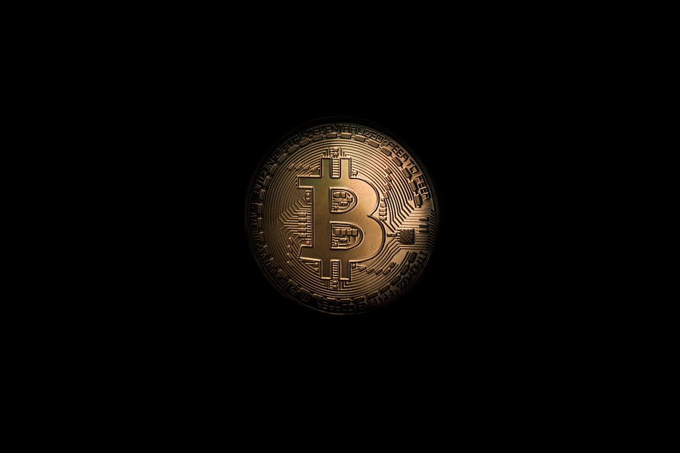 Blockchain e Criptovalute: Una Guida Completa per Sviluppatori e Investitori