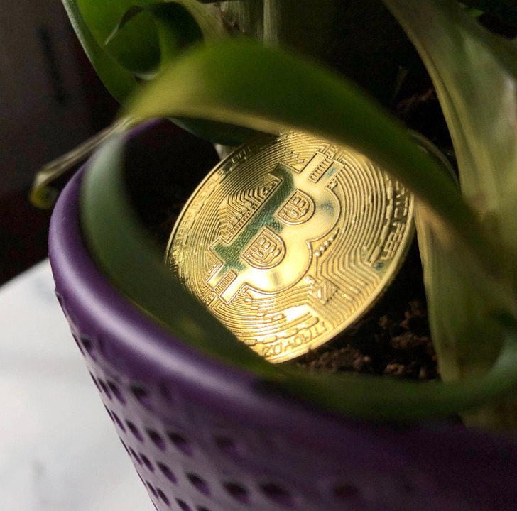 Sviluppo di DApp: Creare Soluzioni Innovative nel Mondo delle Criptovalute