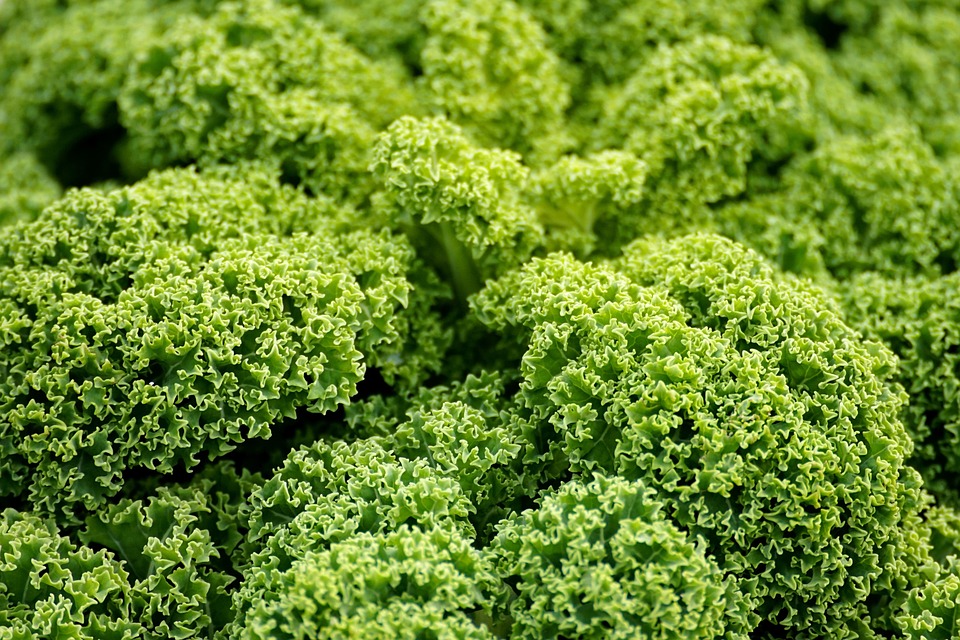 Superfood per la pelle: Ricette gourmet da provare