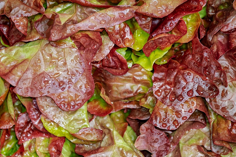 Scelte Gourmet: Preparare Pasti Senza Glutine per Clienti Esigenti