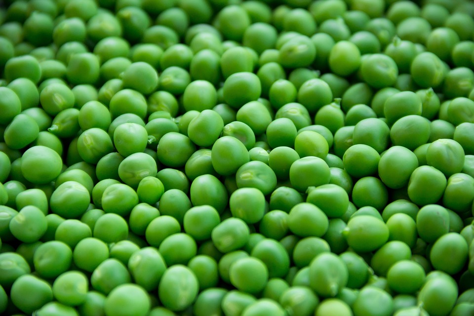 Gusto e Funzionalità: Alimenti che Stimolano la Mente