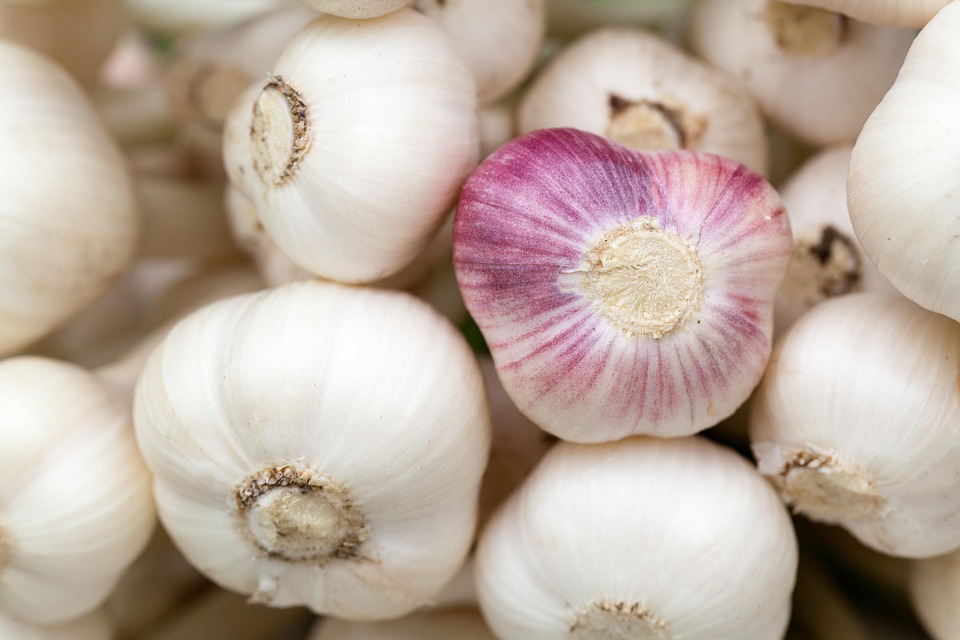 Dalla cucina alla tavola: come utilizzare cibi poveri di zuccheri nella menu